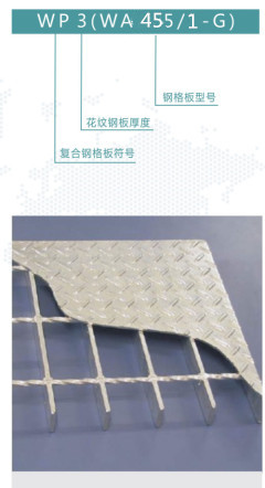 WP3WA455/1-G鋼格板是什么意思？